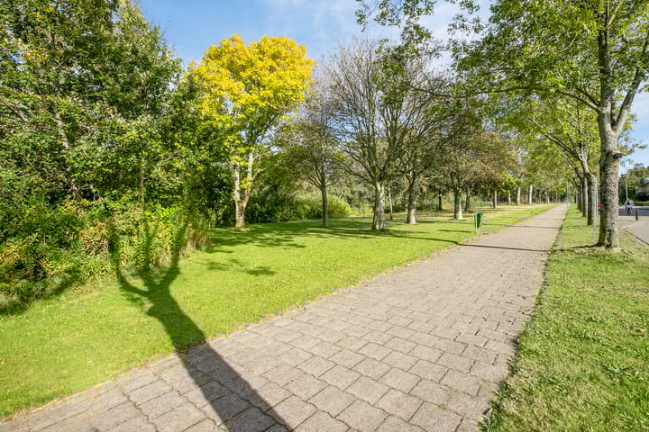 Foto 36 van Henri Dunantsingel 82