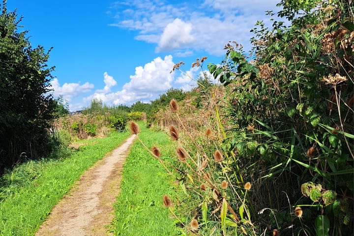 Foto 41 van Sinneveld 9