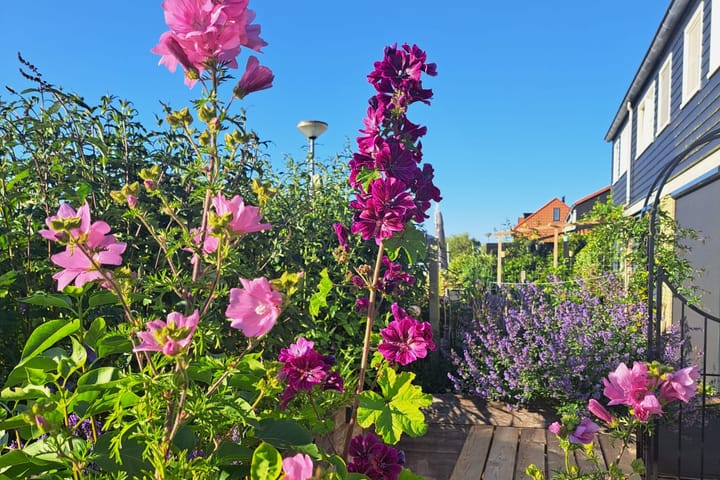 Foto 37 van Sinneveld 9