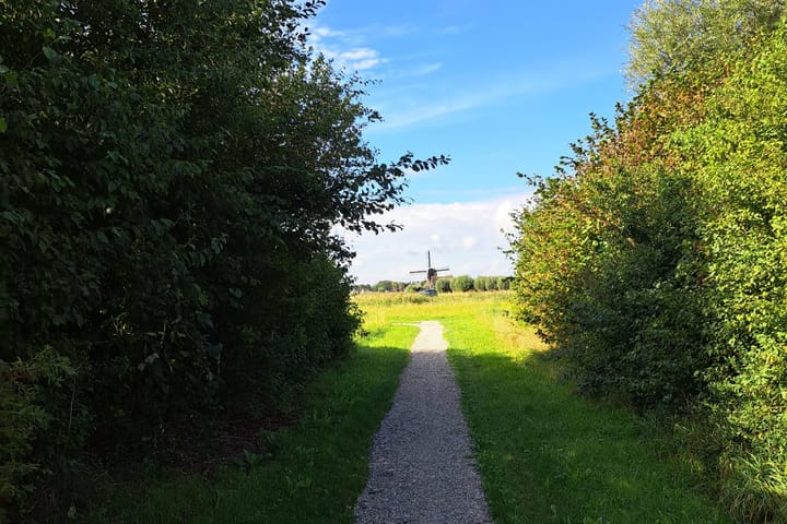 Foto 44 van Sinneveld 9