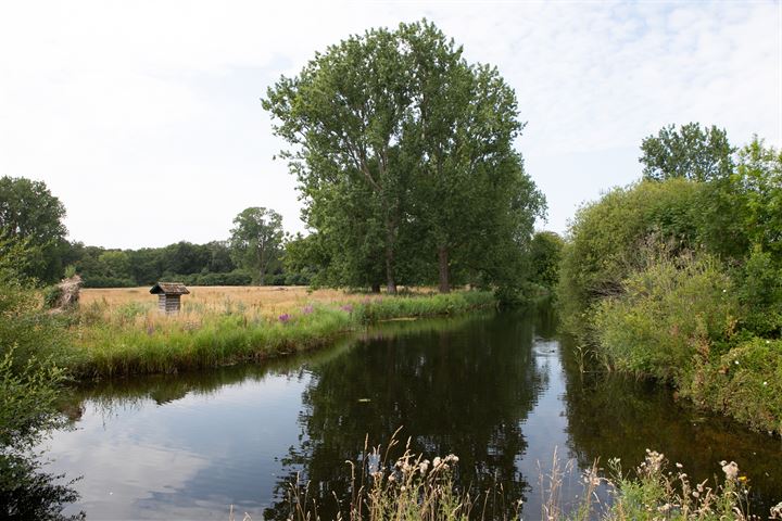 View photo 45 of Valkenburgerlaan 18