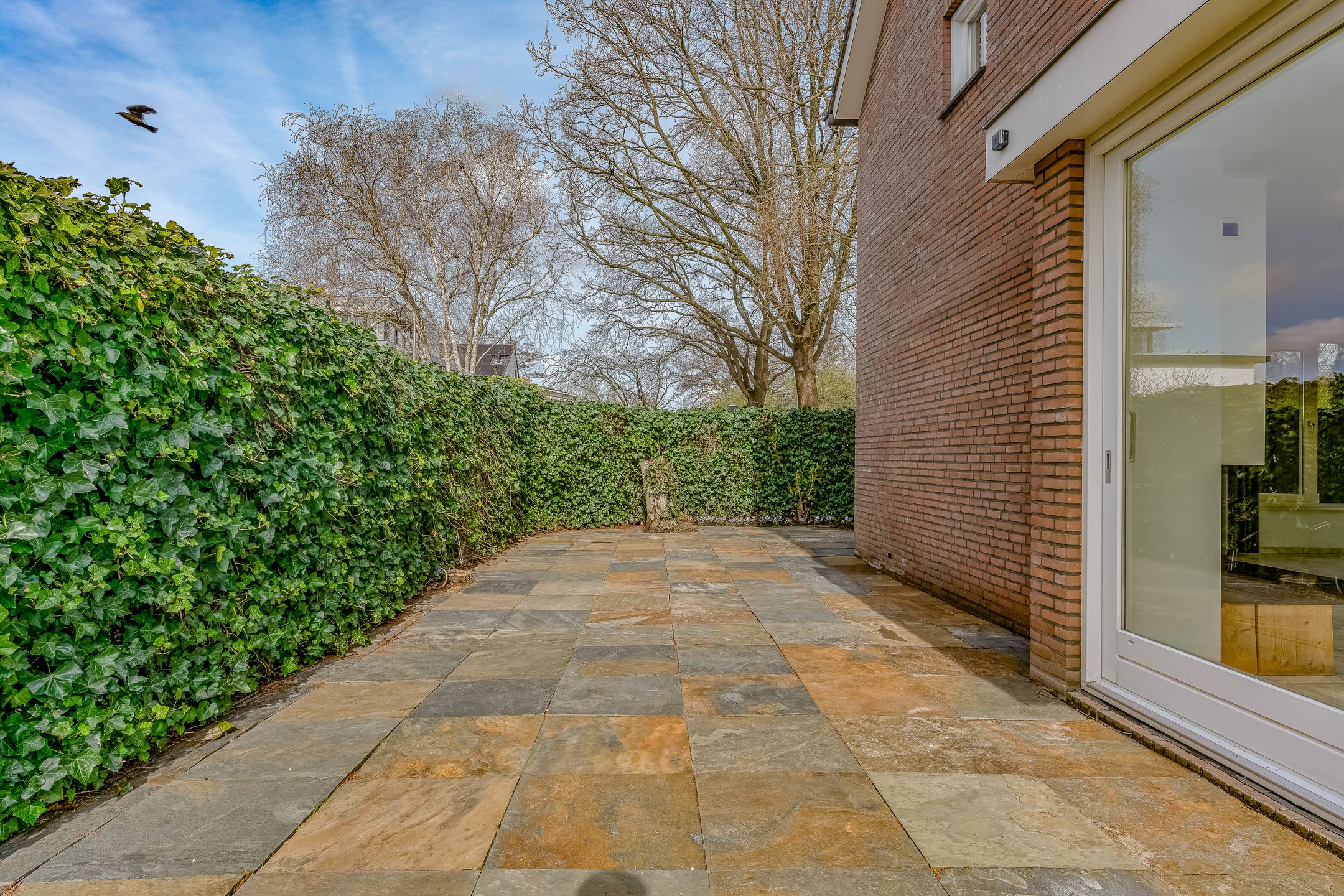 Foto 39 van Selde Rust 11