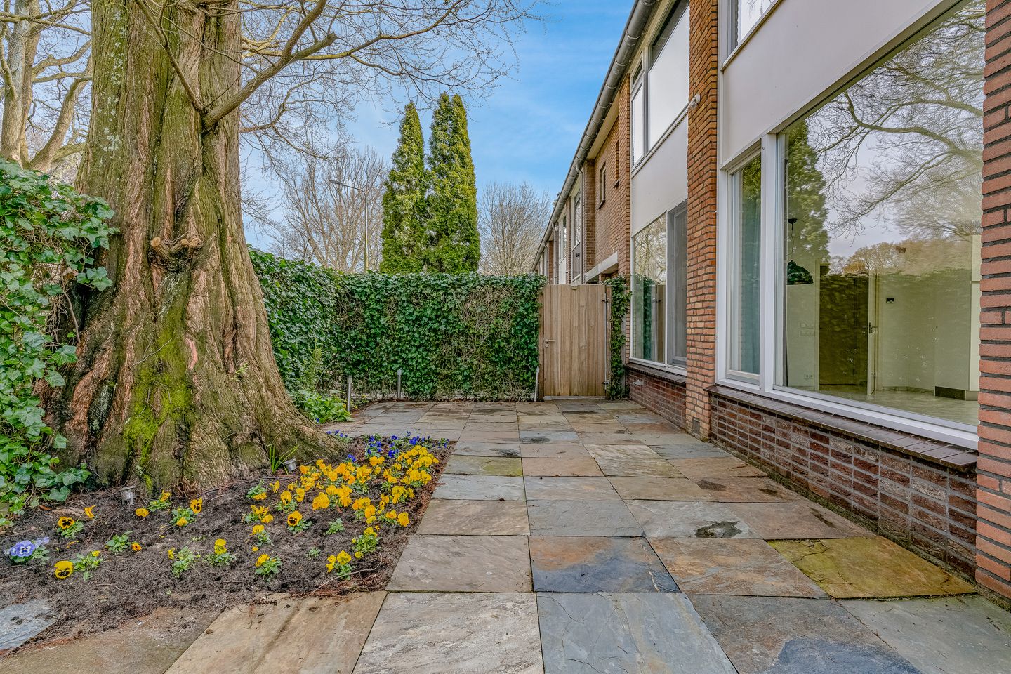 Foto 40 van Selde Rust 11