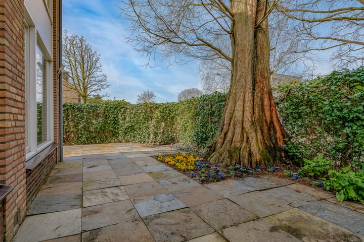 Foto 41 van Selde Rust 11