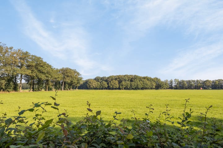 Foto 20 van Holterweg