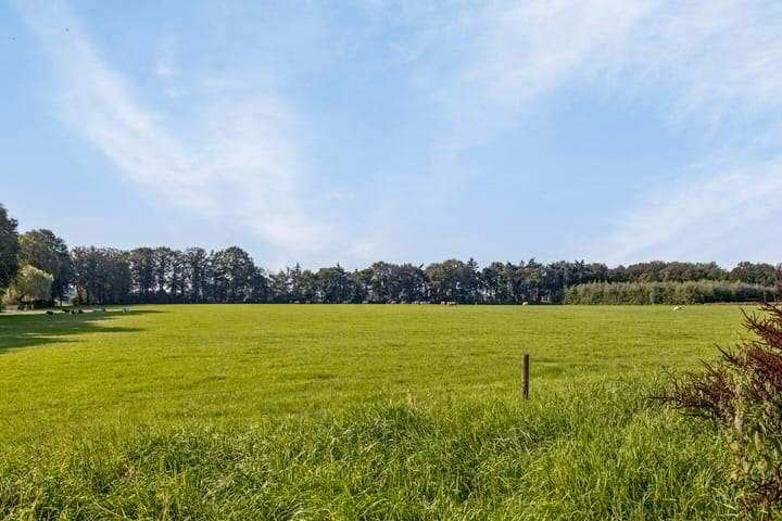 Foto 21 van Holterweg