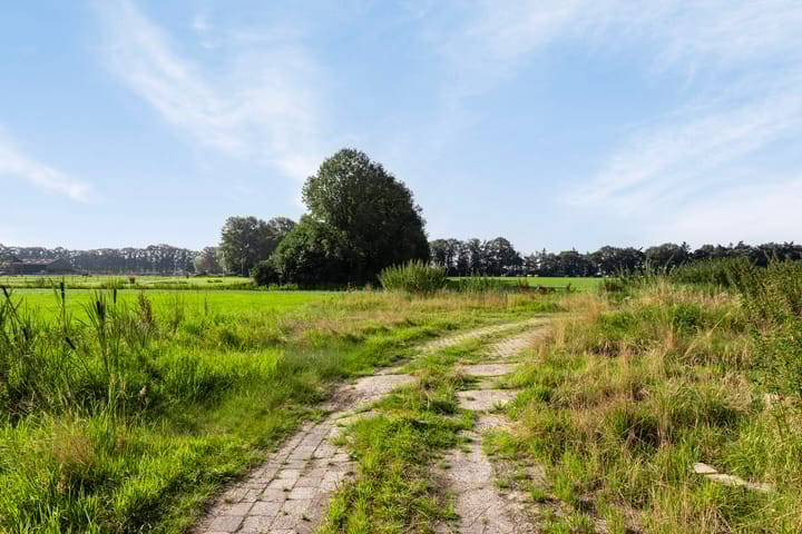 Foto 22 van Holterweg