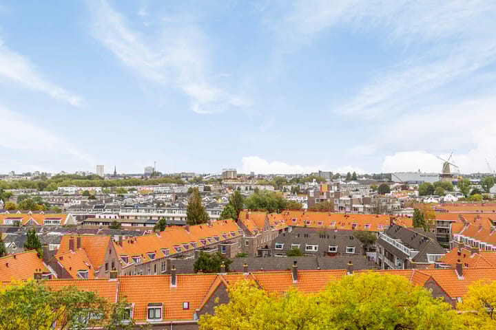 Foto 8 van Havendijk 561