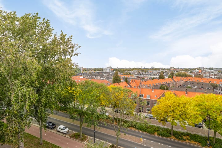 Foto 9 van Havendijk 561