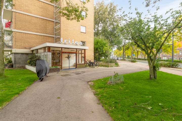 Foto 5 van Havendijk 561