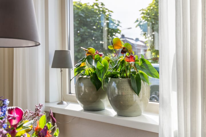 Foto 7 van Rozenstraat 38