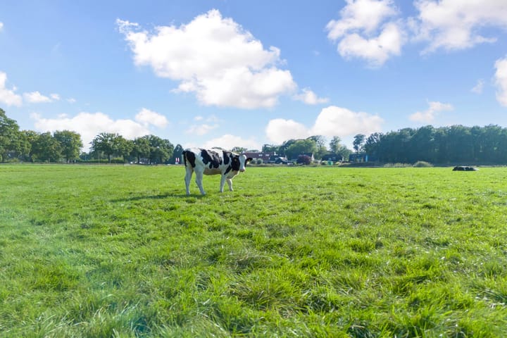 Foto 75 van Stationsweg 24-A