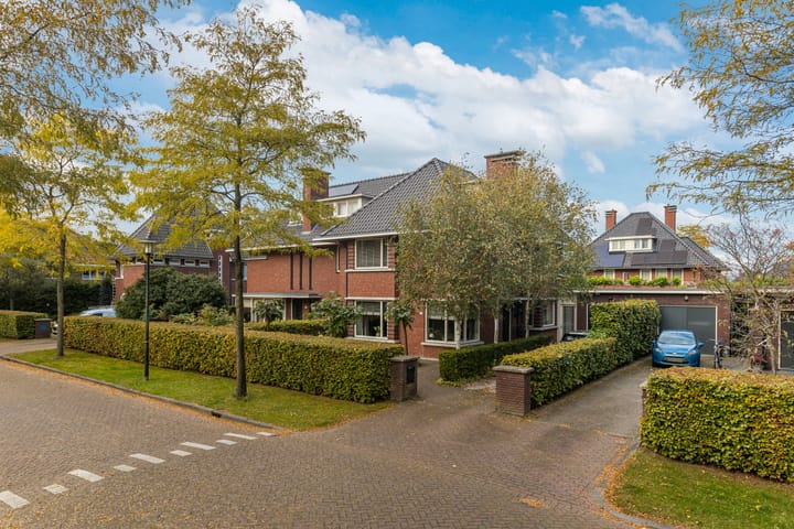 Foto 9 van Romanovhof 25