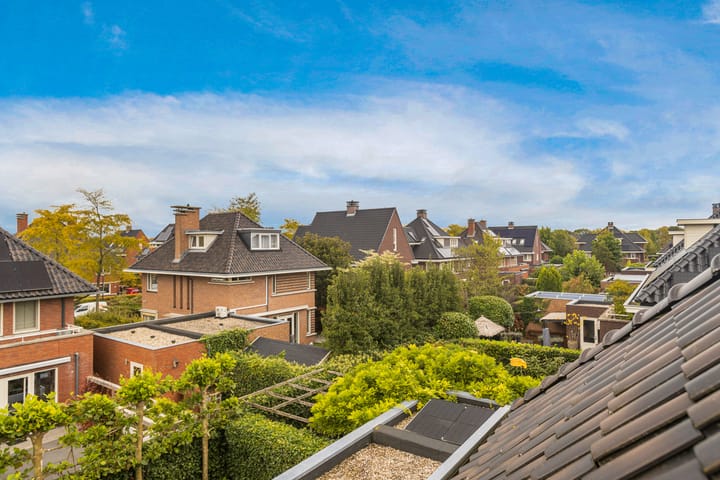 Foto 60 van Romanovhof 25