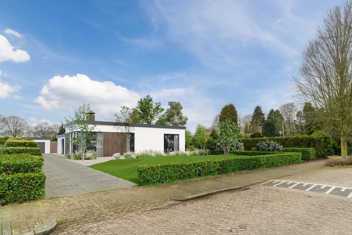 Foto 1 van Pieter Bruegelstraat 22