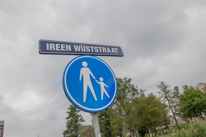 View photo 43 of Ireen Wüststraat 48