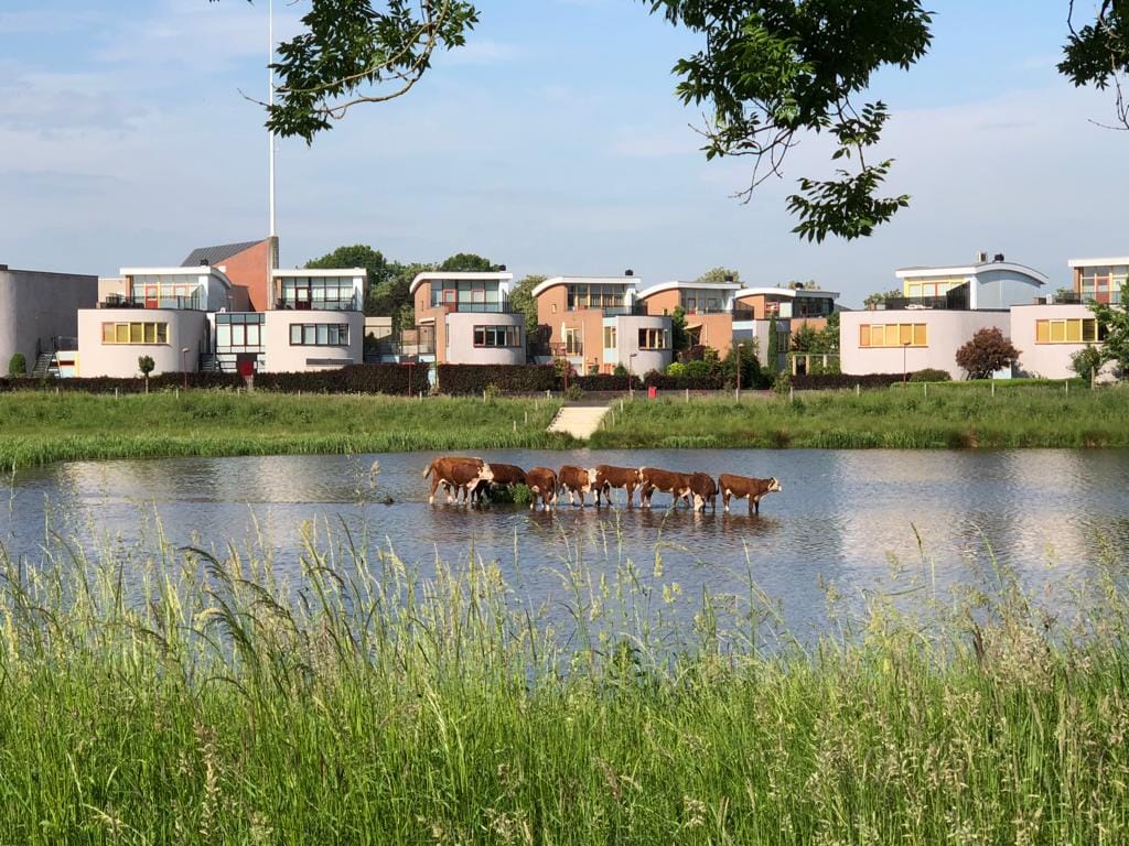 Foto 54 van Willebrandt van Oldenburgstraat 7-B5