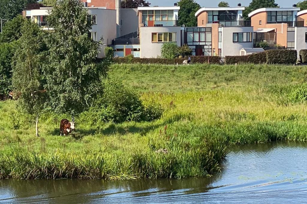 Foto 55 van Willebrandt van Oldenburgstraat 7-B5