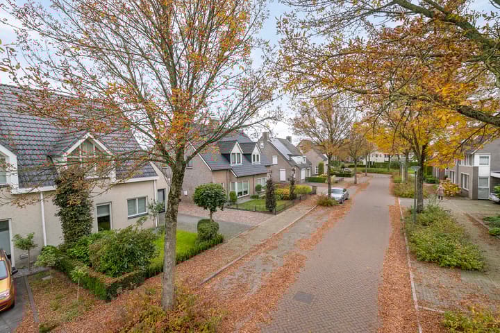 Foto 8 van Leemrand 8