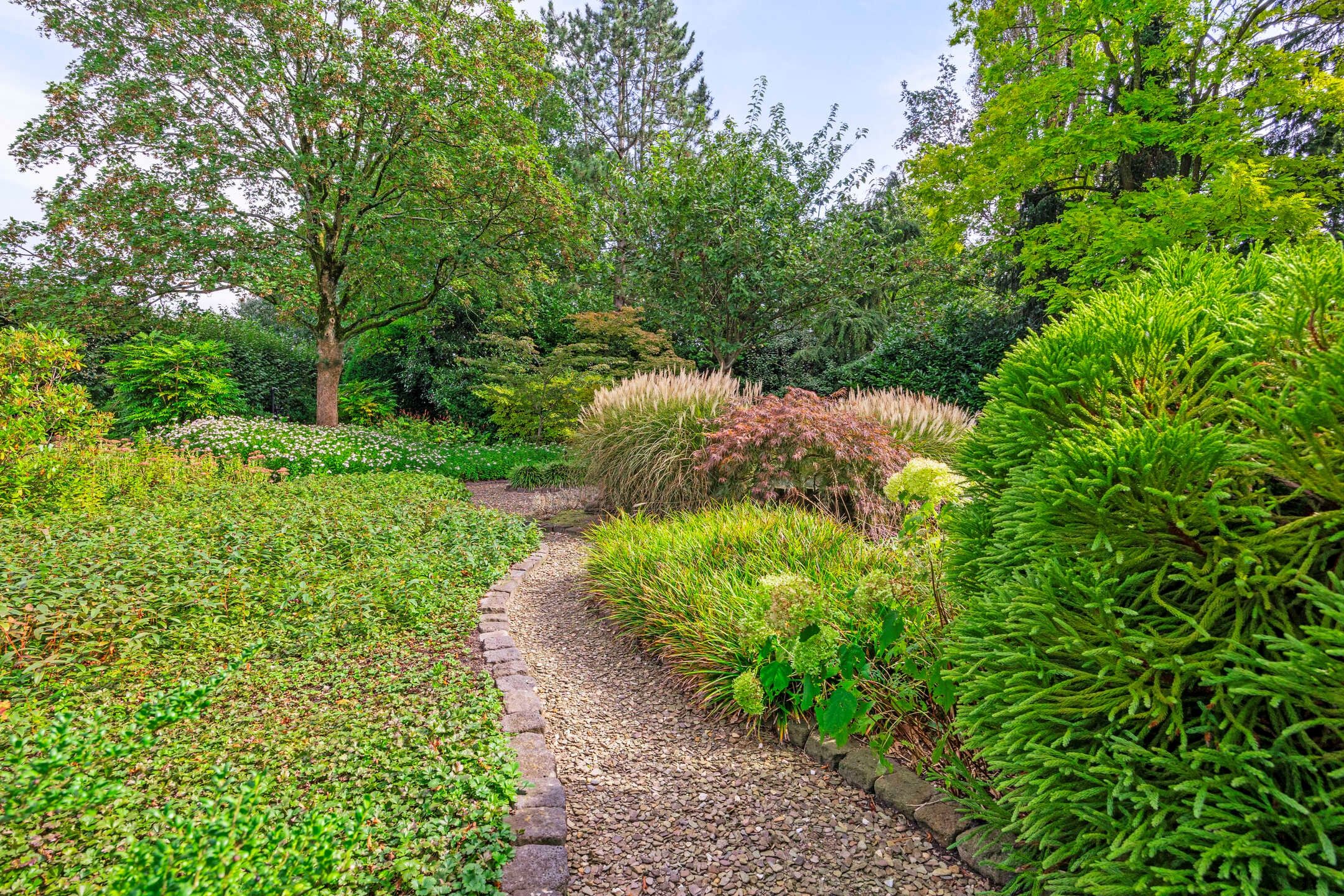 Foto 99 van Houtvesterlaan 26