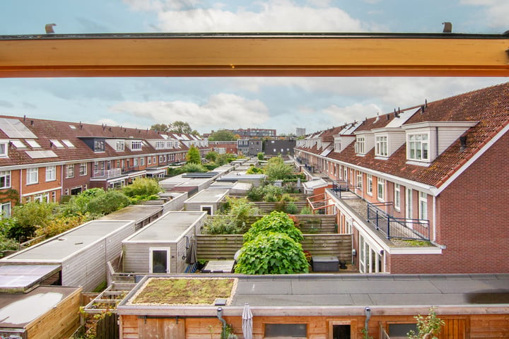 Bekijk foto 41 van Fabriciusstraat 20