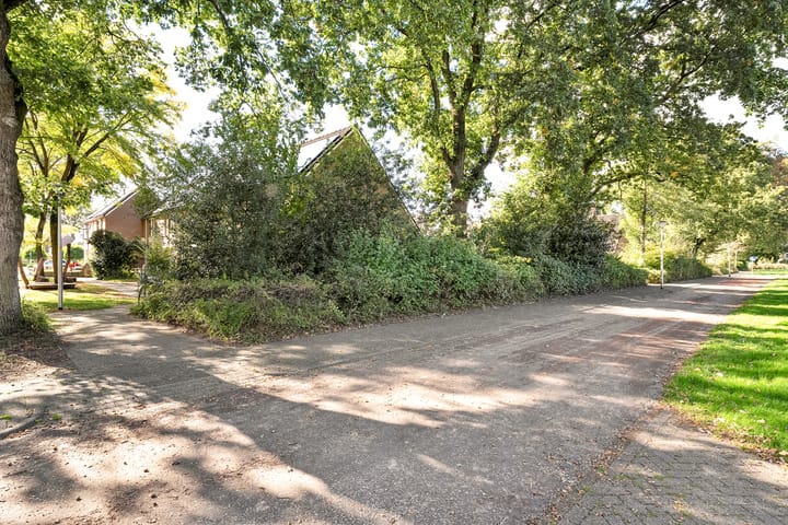 Foto 5 van Boterbloem 73-A