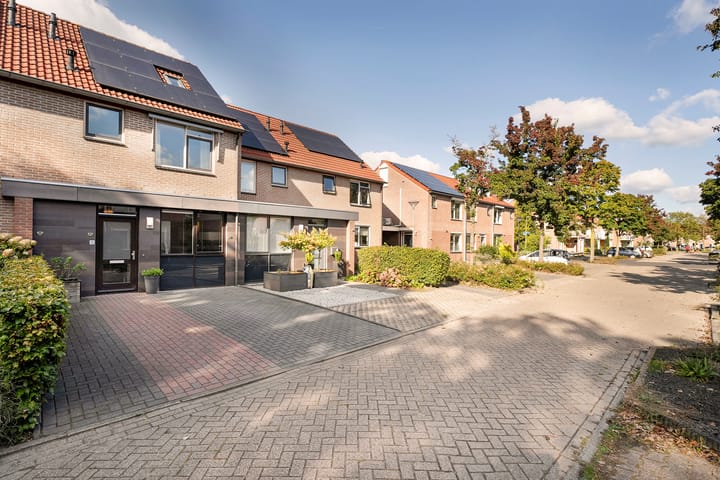 Foto 7 van Boterbloem 73-A