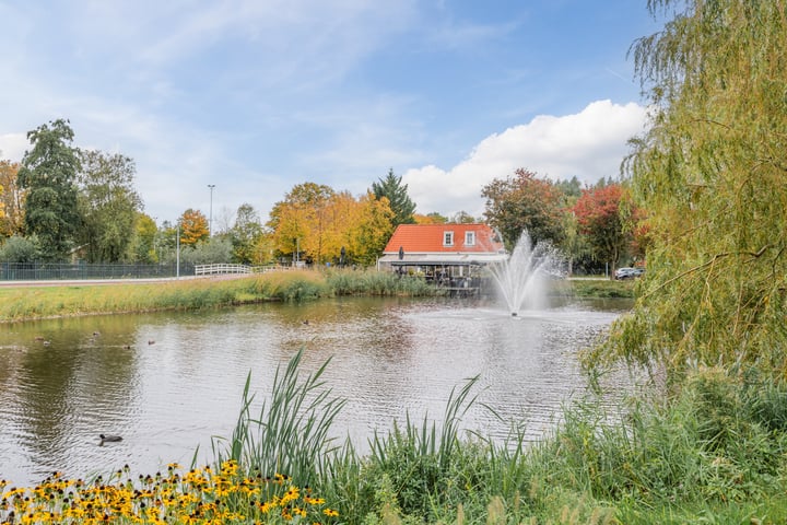 Bekijk foto 36 van Niemeyerstraat 223