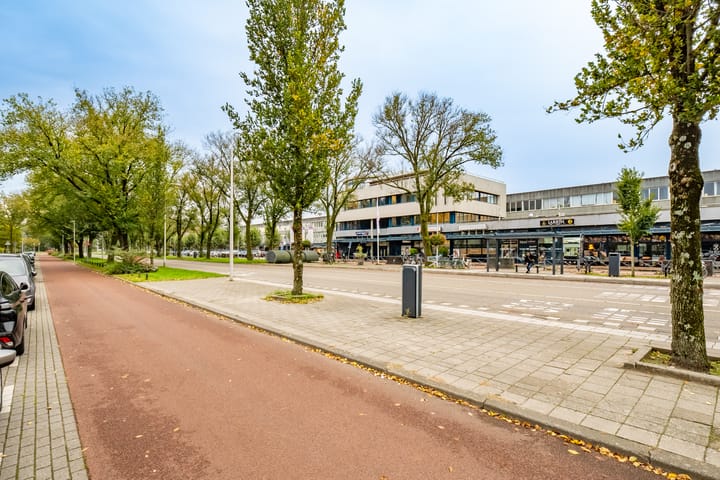 Foto 40 van Zamenhofdreef 22