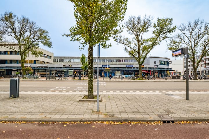 Foto 41 van Zamenhofdreef 22