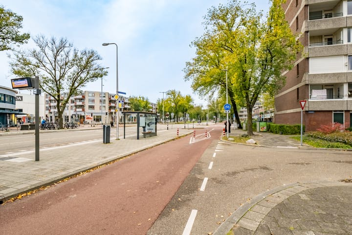 Foto 42 van Zamenhofdreef 22