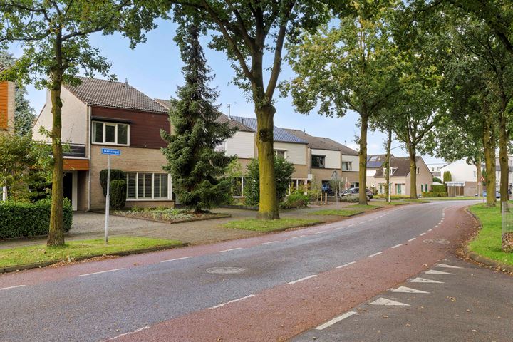 Bekijk foto 43 van Maassingel 180