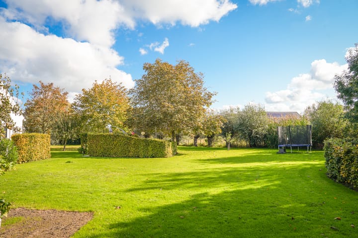 Foto 3 van Veerstraat 3