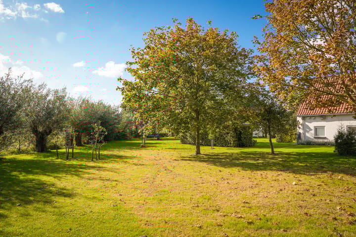 Photo 50 of Veerstraat 3