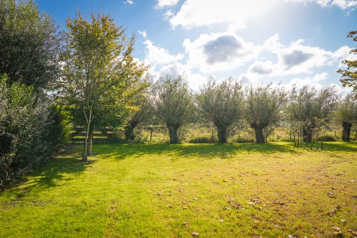 Photo 51 of Veerstraat 3