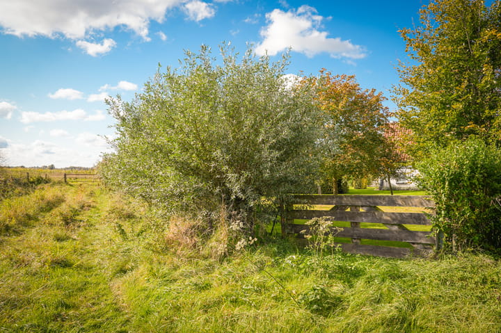 Photo 52 of Veerstraat 3