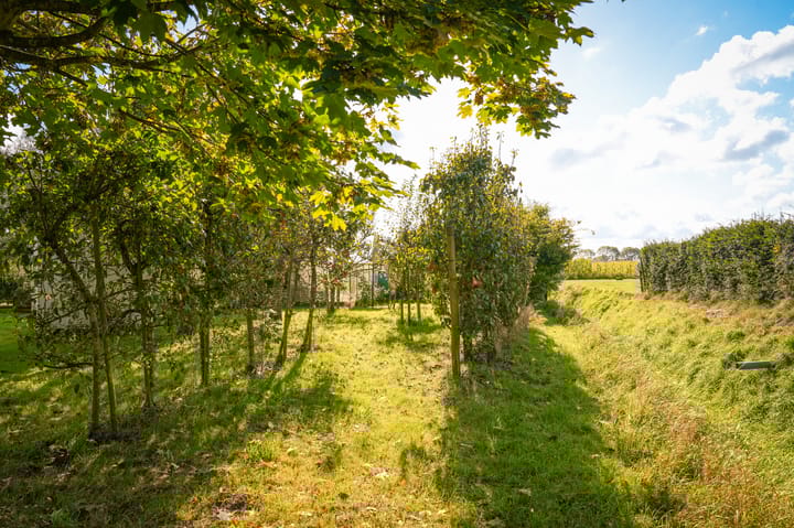 Photo 73 of Veerstraat 3