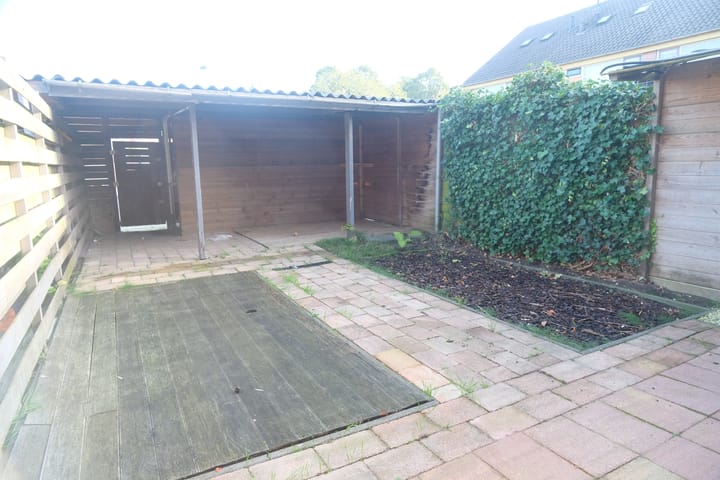 Foto 13 van Valeriaan 52