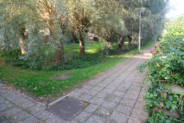 Foto 14 van Valeriaan 52