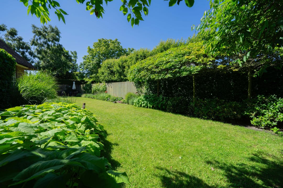 Foto 43 van Bankenlaan 44