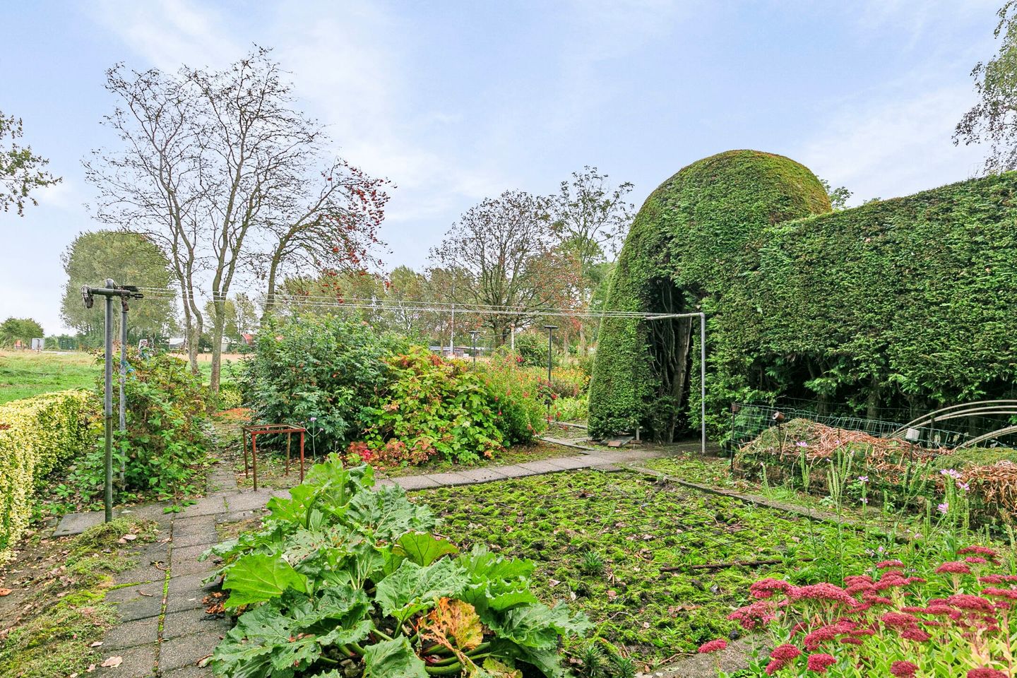 Foto 40 van Hoge Stelle 59