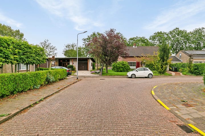 Foto 50 van Hoge Stelle 59