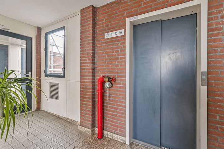 Bekijk foto 3 van Betje Wolffplein 36