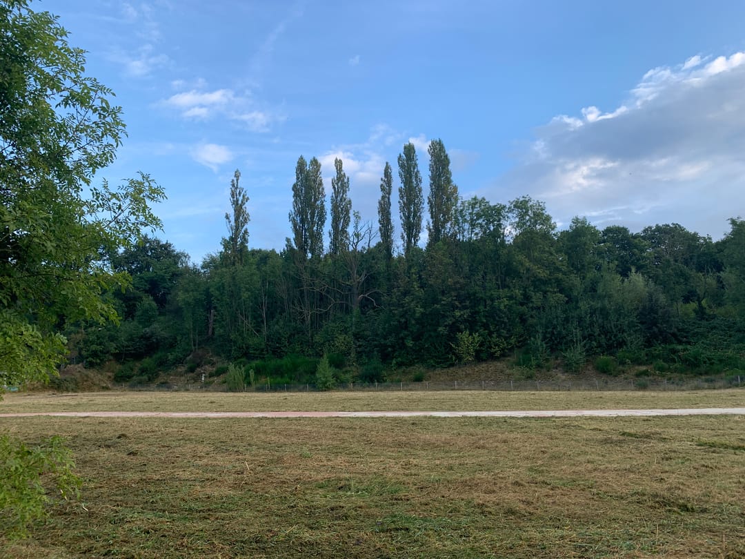 Foto 8 van Domein Grijzegrubben 2A t/m 2 D