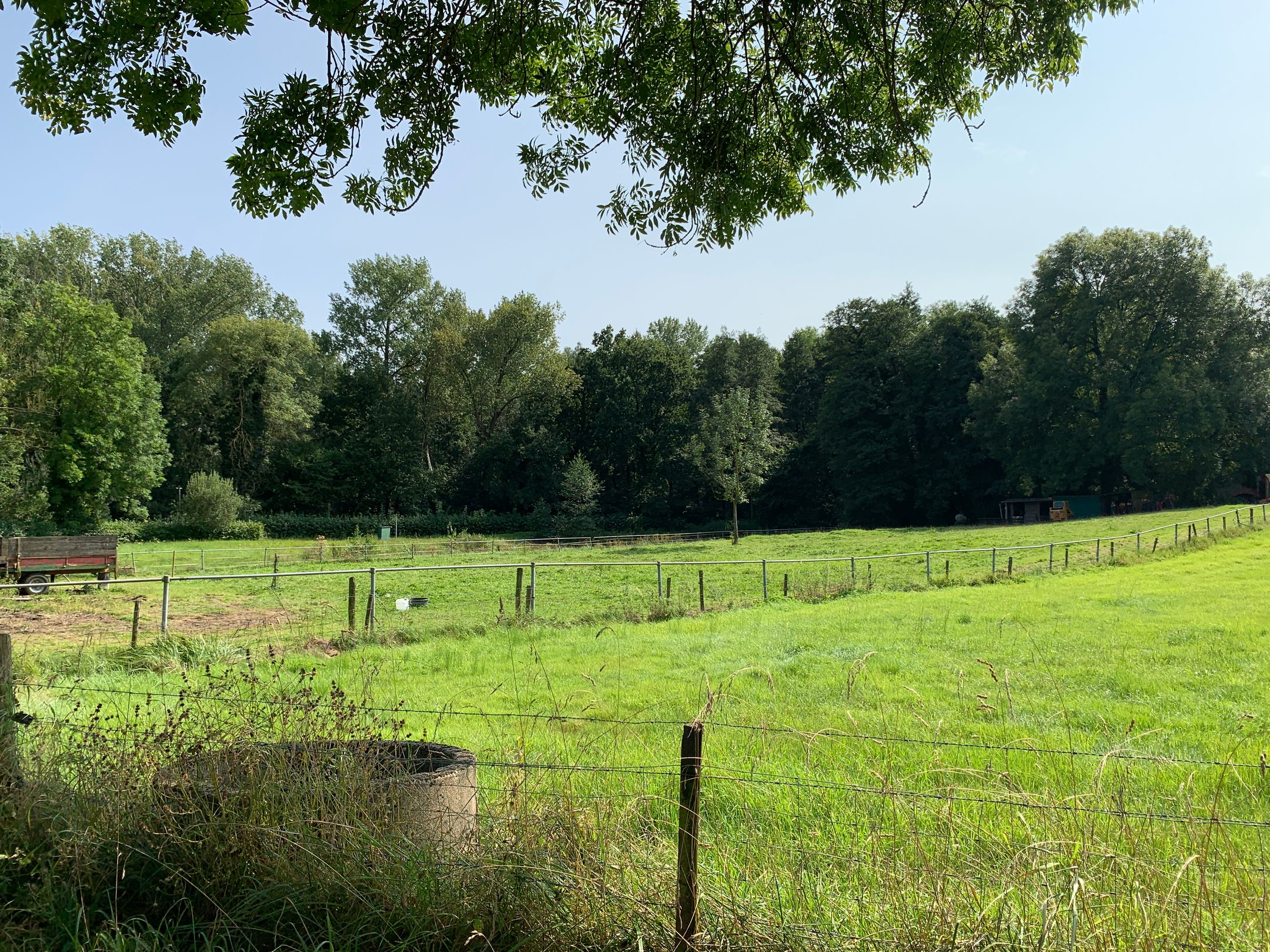 Foto 12 van Domein Grijzegrubben 2A t/m 2 D