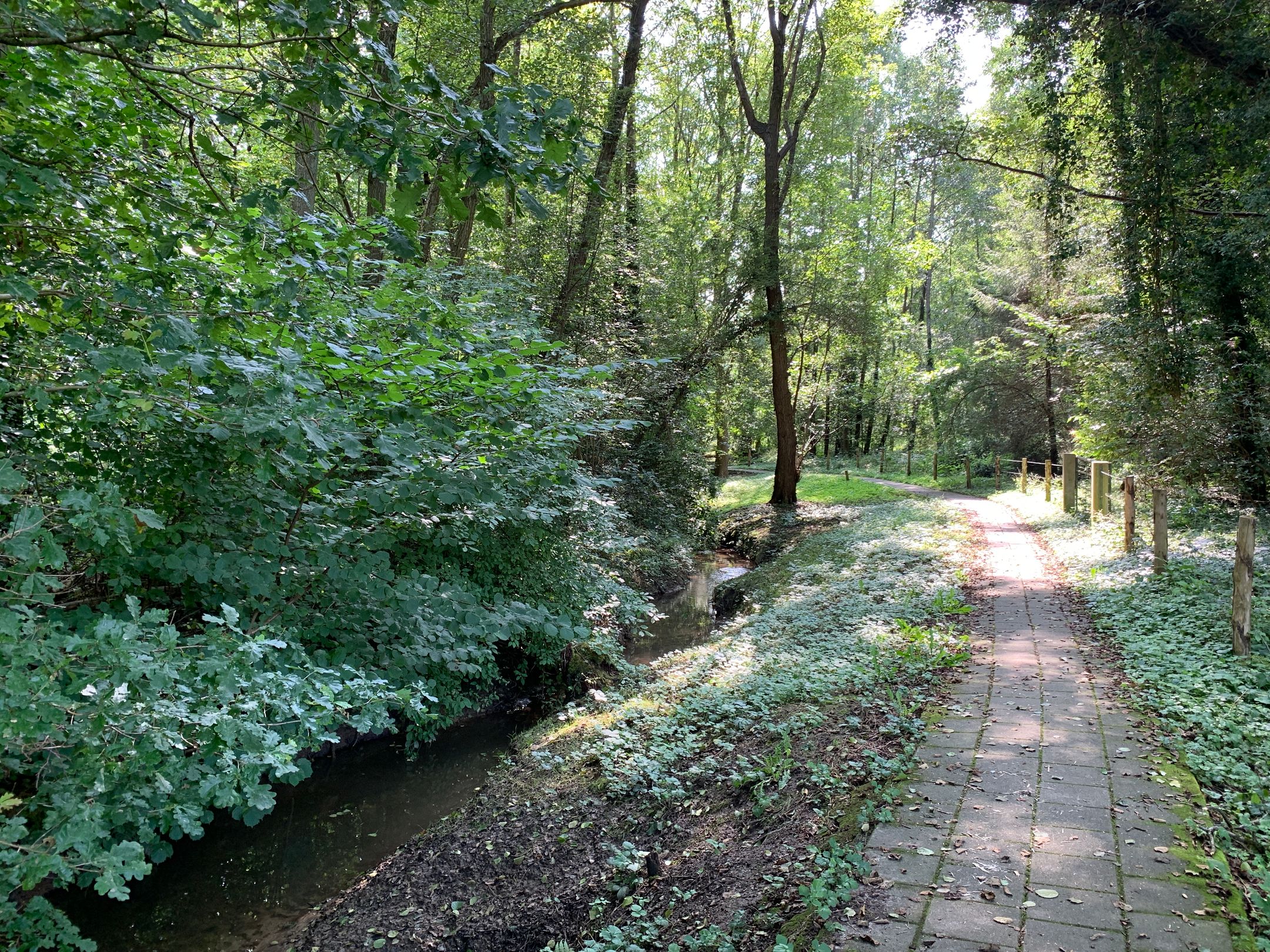 Foto 15 van Domein Grijzegrubben 2A t/m 2 D