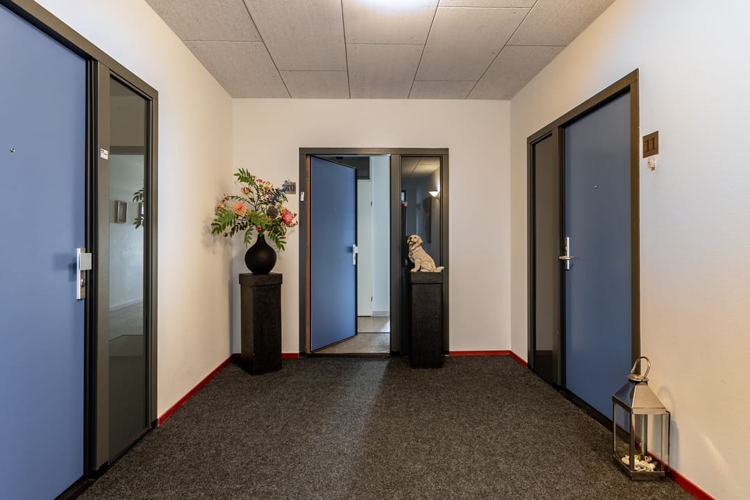 Foto 7 van IJshof 10