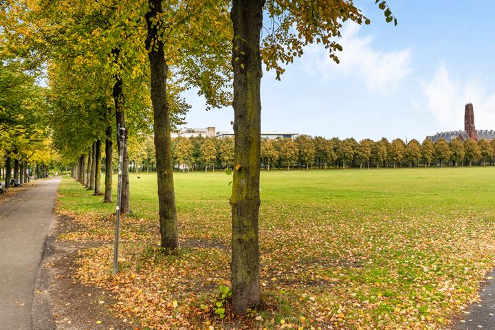 Bekijk foto 36 van Bezuidenhoutseweg 65-55