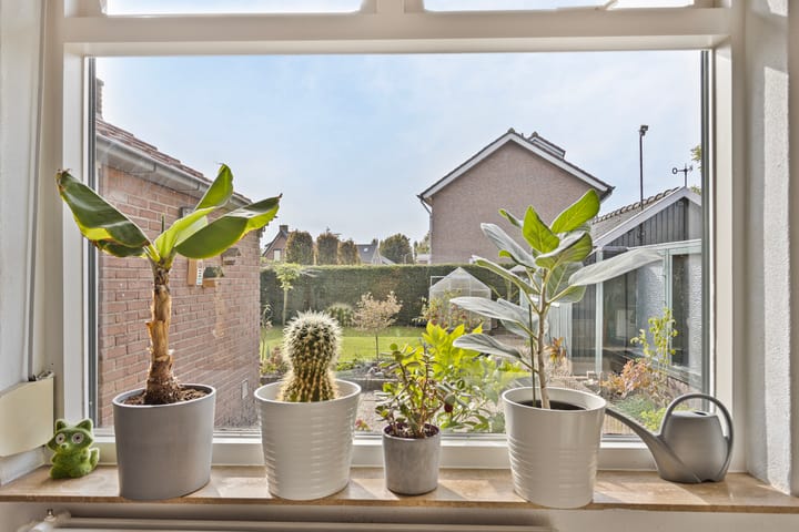 Foto 12 van Broekstraat 42