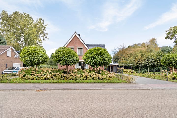 Foto 3 van Runde NZ 20